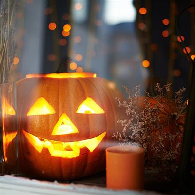 Pumpkin in the Window Pumpkin in the Window