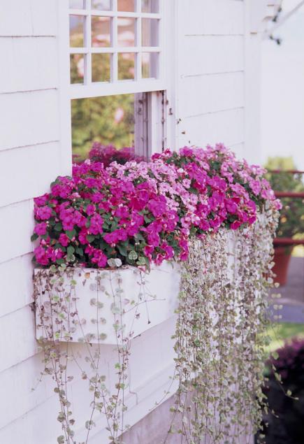 Window boxes give your home an instant facelift window box idesa
