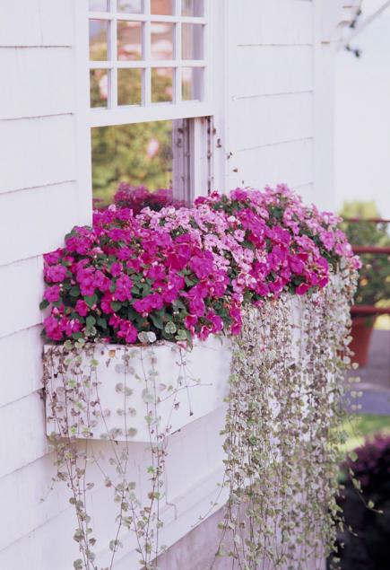 window box idesa