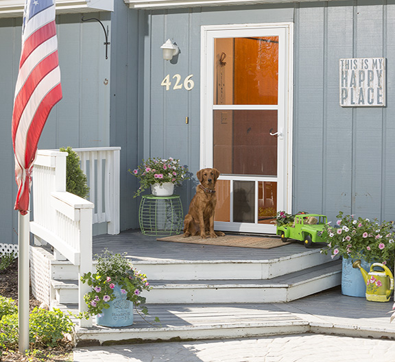 storm doors larson screen security retractable built door larsen windows pet marvin closer leaves friend