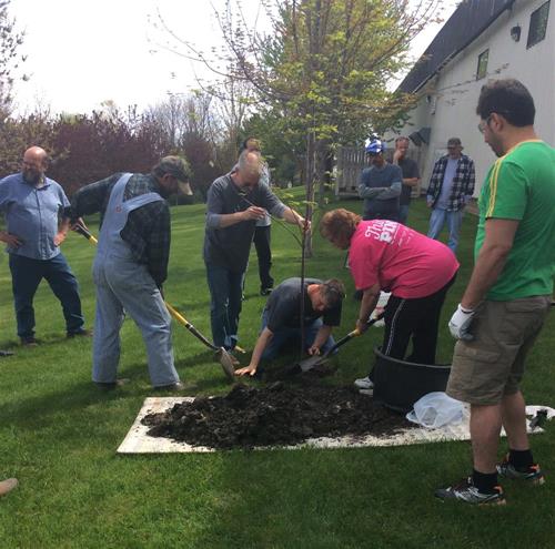 arborday arborday