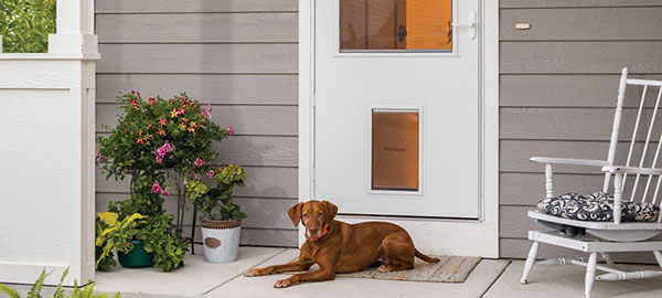 The New Storm Door Is A Pet Too, Weather Proof Sliding Glass Dog Door
